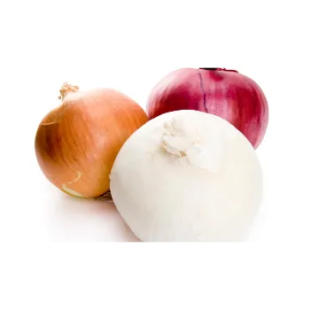 Onion (1)-247796-90426.webp